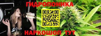 крисы Конаково