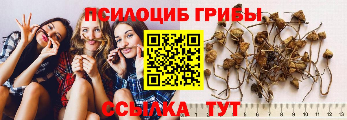Галлюциногенные грибы мухоморы  Вход с VPN  Янаул 